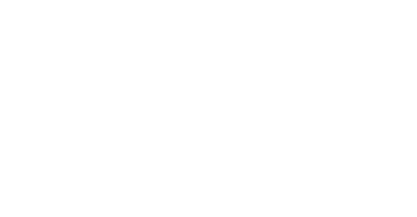 Logo – D2P Construction LLC – x2 – wb